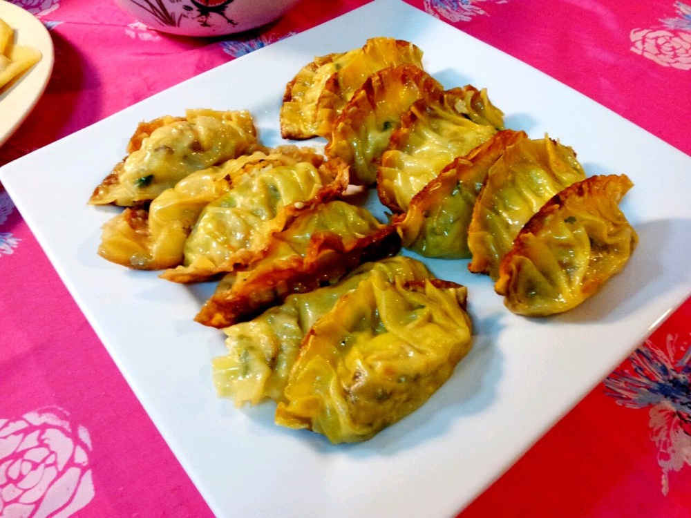 Pan Fried Vegetarian Dumplings.