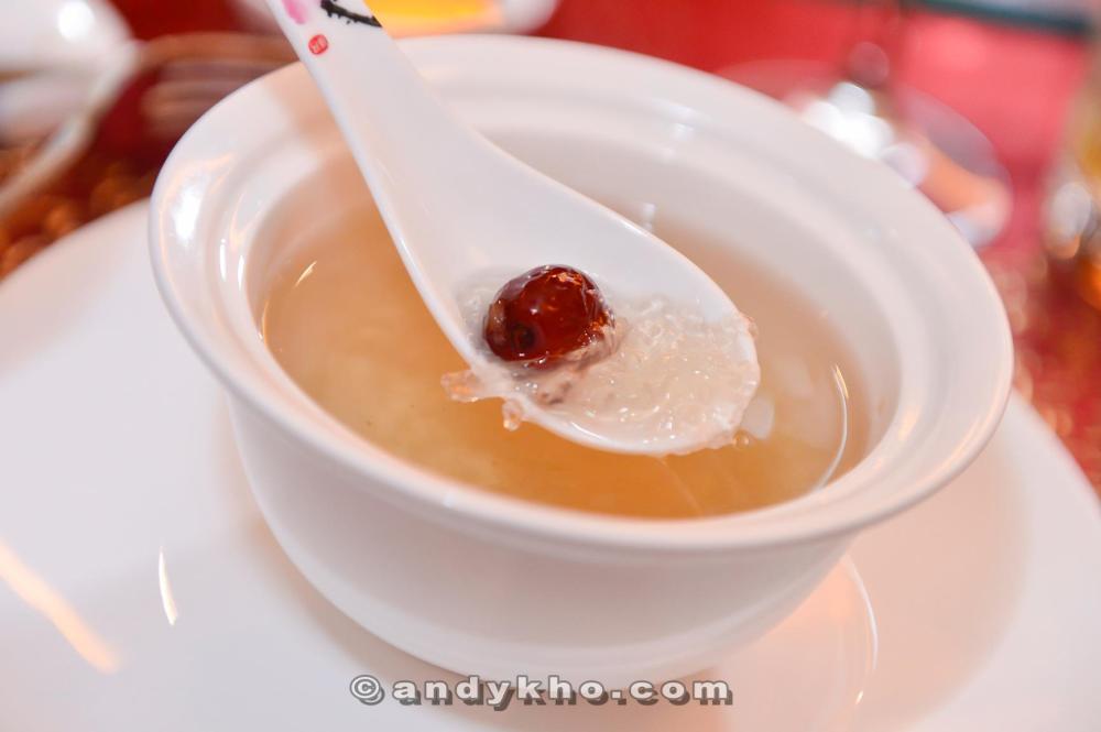 Double Boiled Bird’s Nest