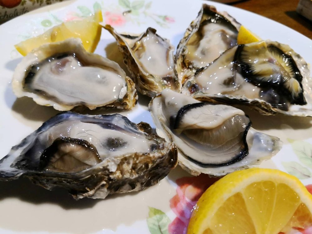 109665263_10158548521601163_3622048501855533748_o